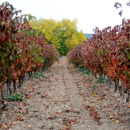 Castilla Termal Monasterio De Valbuena - Small Luxury Valbuena De Duero