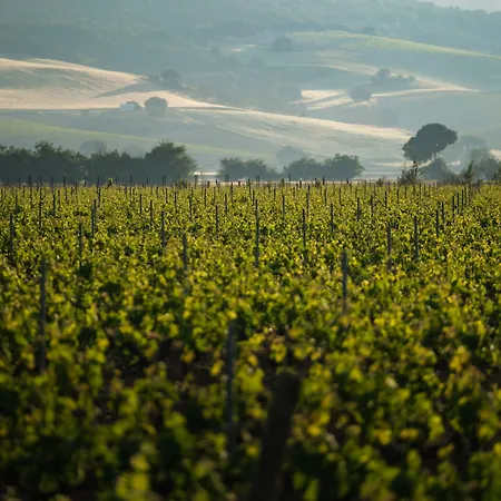 Castilla Termal Monasterio De Valbuena - Small Luxury Hotell 5*