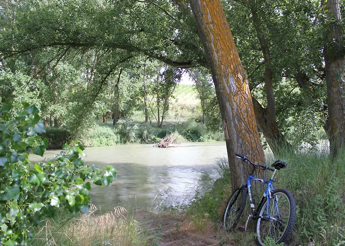 Castilla Termal Monasterio De Valbuena - Small Luxury Hotel 5*