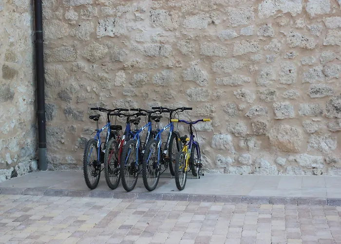 酒店 Castilla Termal Monasterio De Valbuena - Small Luxury 5*